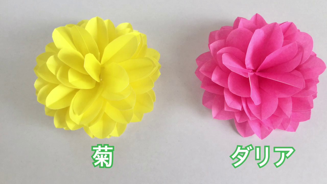 折り紙 切り紙 簡単なのに豪華 ダリアと菊 Dahlia And Chrysanthemum Youtube 折り紙 ペーパーフラワー ダリア 折り紙