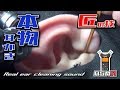 【ASMR】本物の耳かき音 Real Ear Cleaning Sound 真面目シリーズ匠の技編/TASCAM DR-07MK2-JJ/no talking