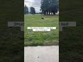 Doberman e-collar conditioning training, & obedience #dogs #doberman #dogtraining #dobermanpinscher