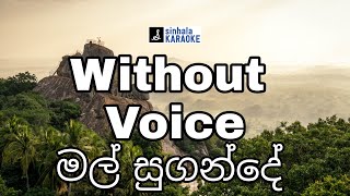 Mal sugande karaoke with lyrics | මල් සුගන්දේ Lyric video | Mohidin beg | Sujatha Aththanayaka