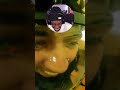 WHAT IS THIS POV 🤣