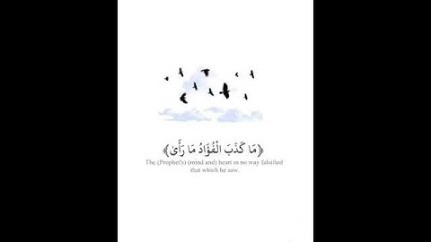 قرآن كريم تلاوة تشرح الصدر أرح سمعك🎧حالات واتس آب