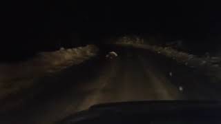 Runner sledding