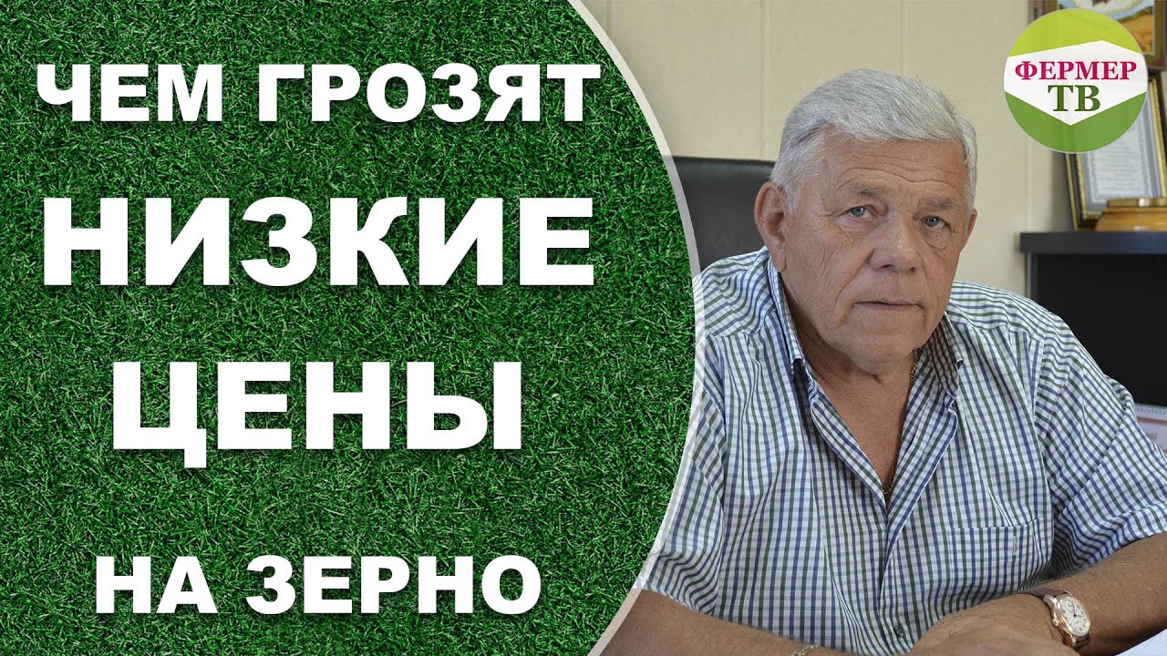 Чем грозят низкие цены на зерно