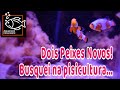 Fui buscar dois peixes na principal piscicultura de água salgada do Brasil!