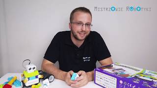 Botzees Robot - Charakterystyka, Wprowadzenie