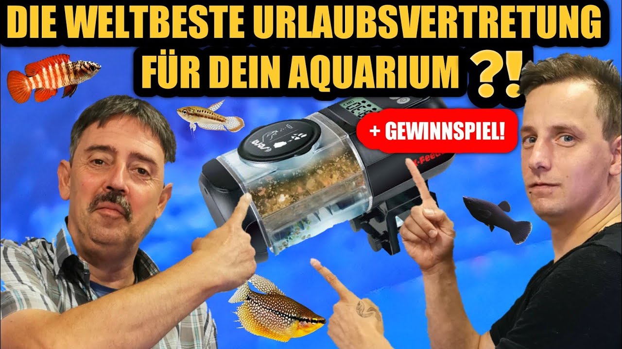 Die beste Urlaubsvertretung der Welt für deine Aquarium-Fische?!