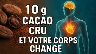 Que se passe-t-il si vous mangez 10 g de cacao cru par jour ?