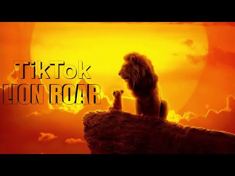 ALEX _ RUS - Дикая львица ORGINAL SONG | TikTok Trending Lion Roar Song | SahuKings