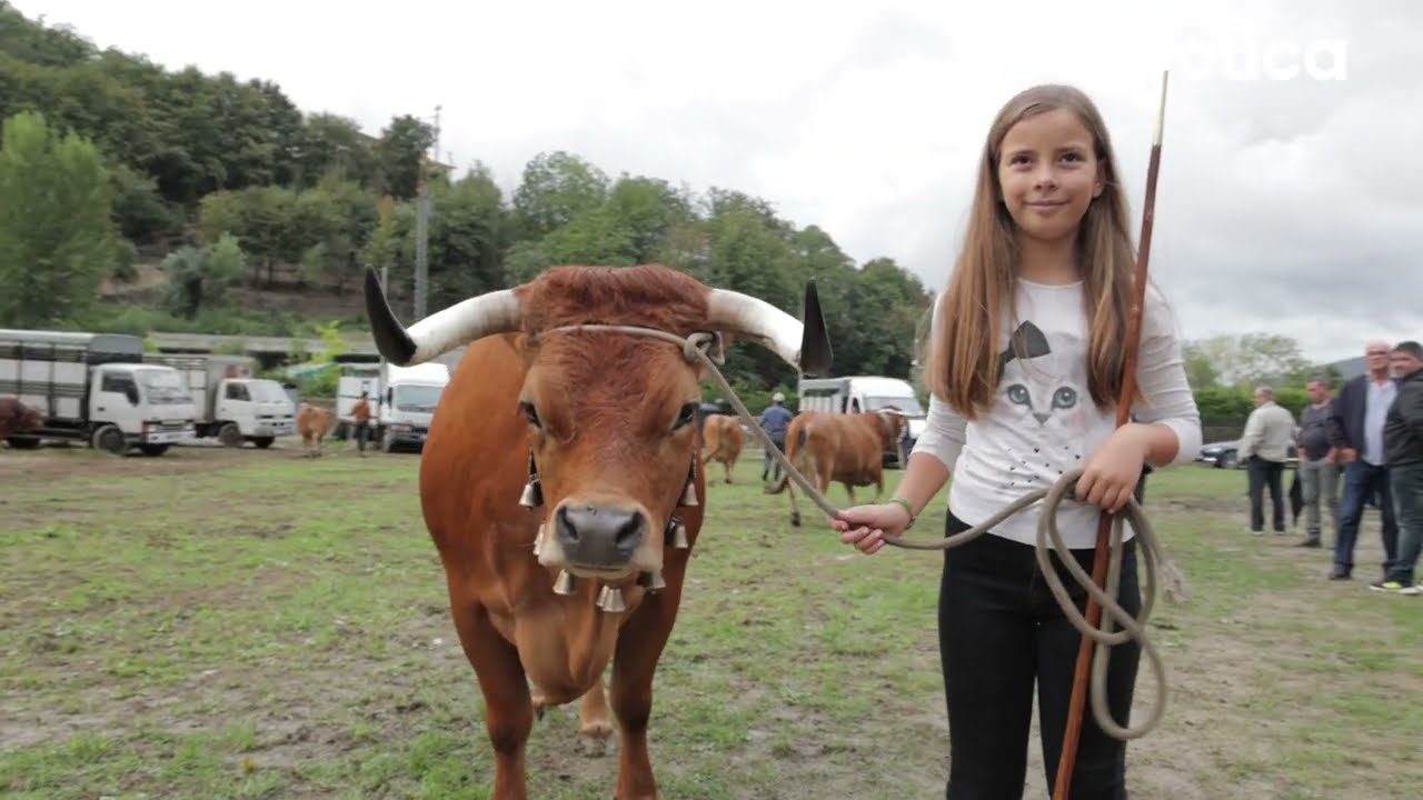 Concurso Nacional da Raça Arouquesa
