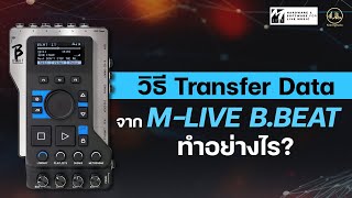 🤘 วิธี Transfer Data เข้าสู่ M-Live B.Beat ทำอย่างไร?