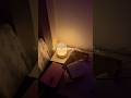 quiet study set up #study #studytube #quiet #studyvlog #studywithme #studymotivation #youtubeshorts