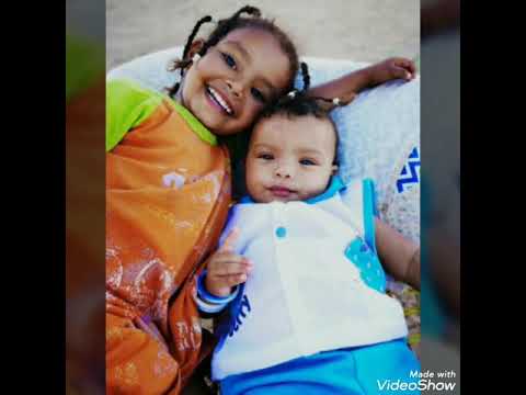 جادالله الطيب سيبوني