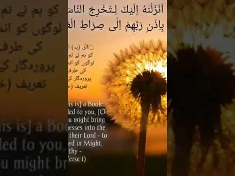قران كريم بلغات مختلفة