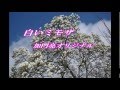 白いミモザ 歌 加門亮オリジナル曲