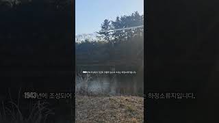 하정소류지 영상