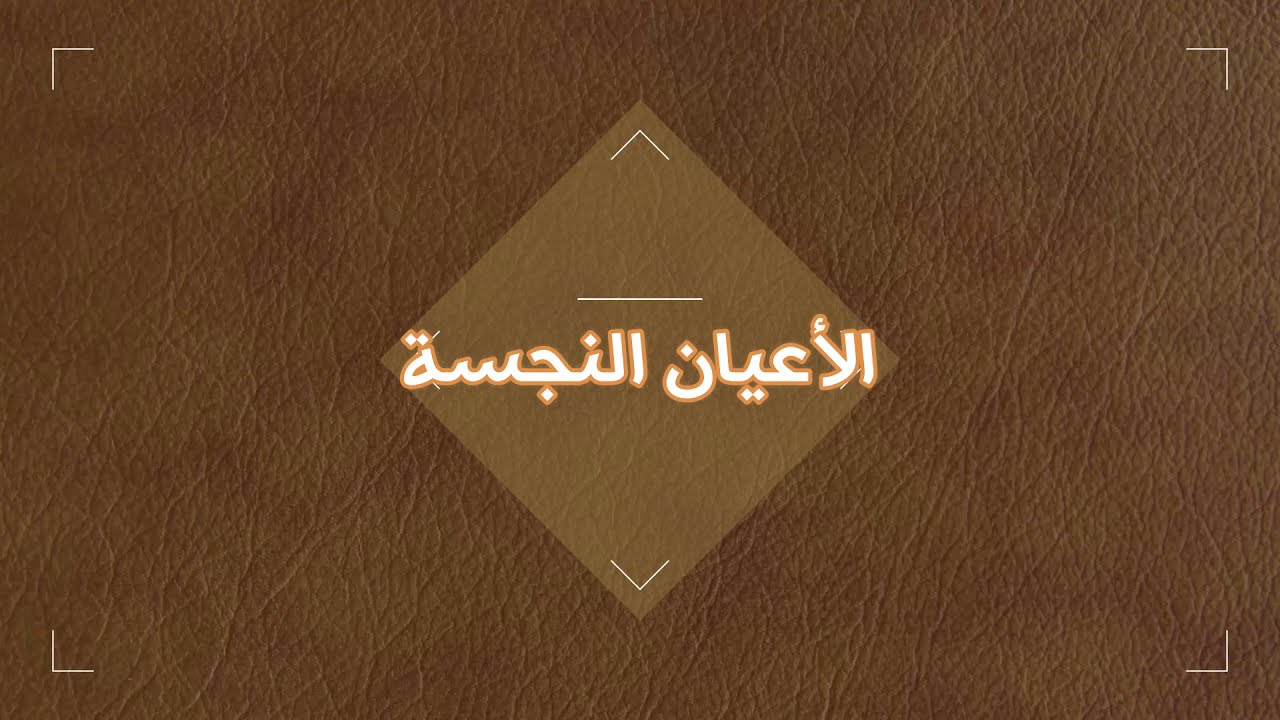 الصف الأول الثانوي   الفقه المالكي    الحلقة الثالثة   الأعيان النجسة