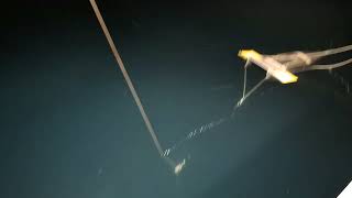 Ash falling on ocean surface during Palisades, Eaton fires