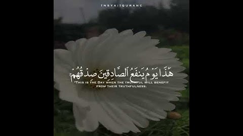 قرآن كريم بصوت القارئ عبدالله موسى اروع حالات واتس اب دينيه 🌃 تلاوة خاشعة 🖤😴