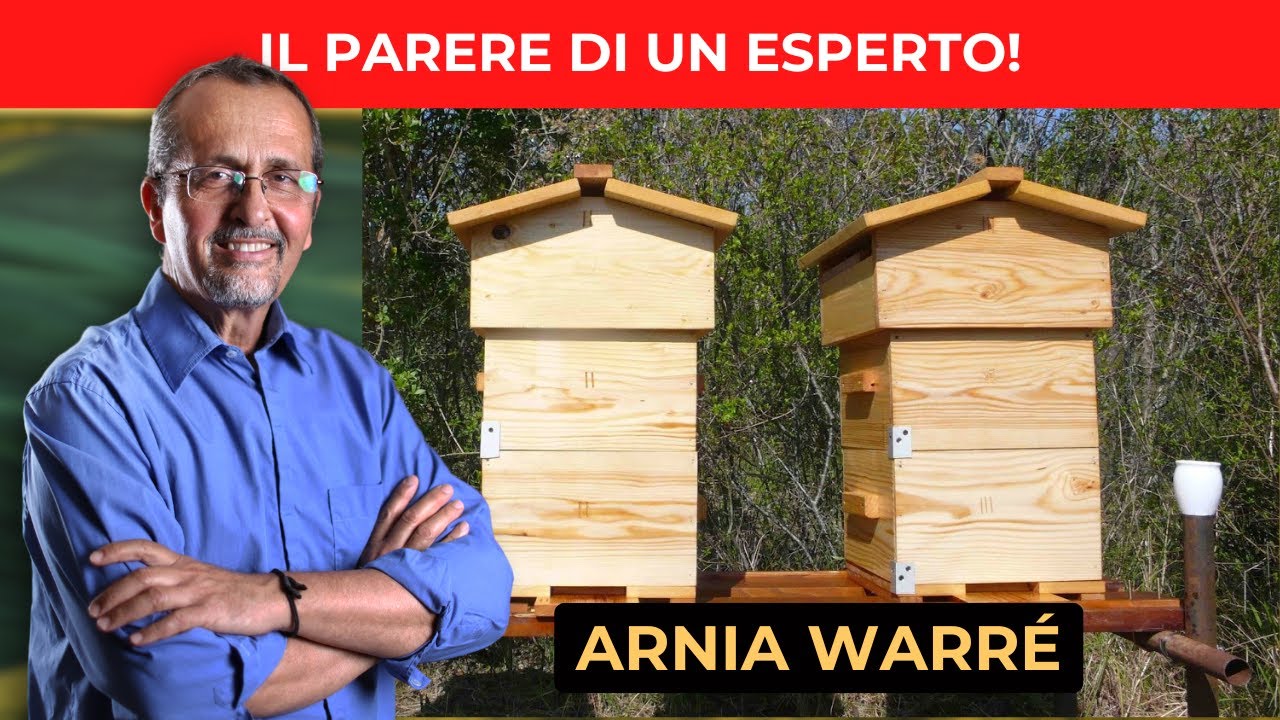 Arnia Warré: Il Parere Sincero di un Esperto