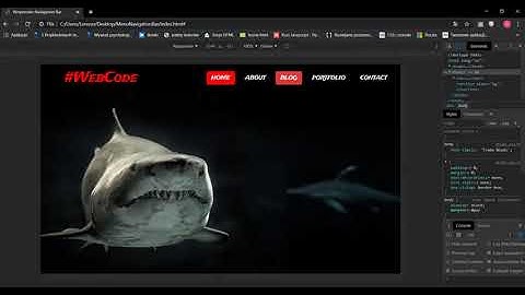 TOP 10 CSS, JAVASCRIPT AND JQUERY EFFECTS