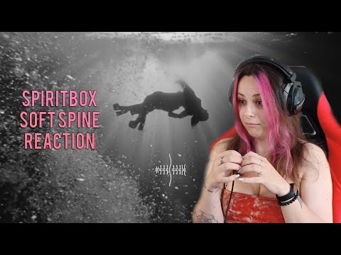 SPIRITBOX - SOFT SPINE REACTION | slaveformusic