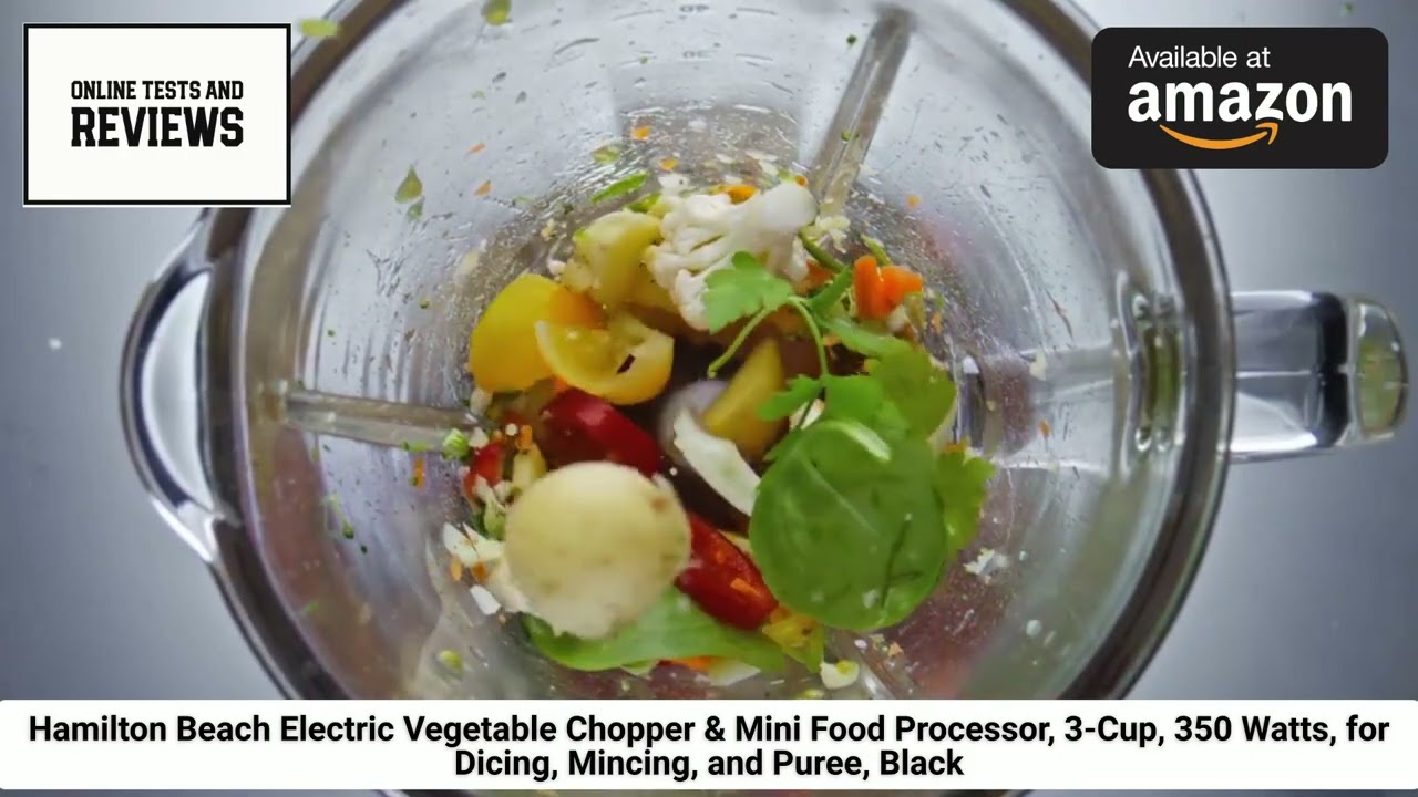 Hamilton Beach Electric Vegetable Chopper & Mini Food Processor. Full Review