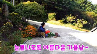 видео: Трогательная осенняя красота, до слез~🍁🍂 картинка: Трогательная осенняя красота, до слез~🍁🍂