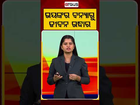 ଭୟଙ୍କର ବନ୍ୟାରୁ ଜୀବନ ଉଦ୍ଧାର | Argus Reels | Flood | FloodRescue | FloodUpdate | ArgusNews