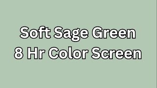 Soft Sage Green 8 Hr Color Screen #blankscreen #colors screenshot 1
