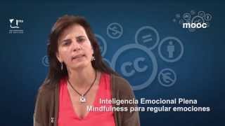 MOOC UMA Mindfulness. Video de Presentación Wealth