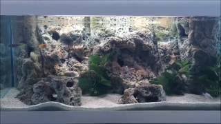 In this video we present how to install 3d aquarium background -
limestone design. that's the newest model have just launched. type of
...