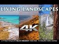 Living Landscapes in 4K | 4HRS of Pure Nature Relaxation™ Scenes UHD
