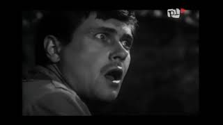 Zwariowana noc 1967 cały film polski