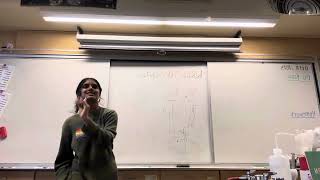 Niche Partitioning