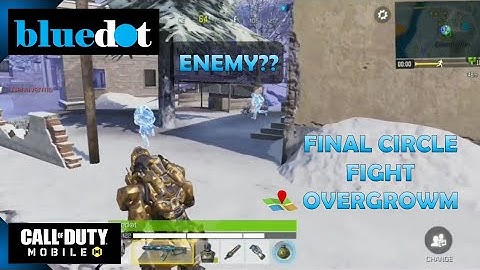 When R stands for Revenge, Revive & Roach for WIN - Battle Royale - Call of Duty Mobile