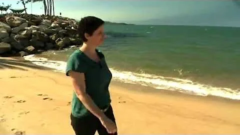 2011 FWIS Fellow - Tracy Ainsworth - The complex l...