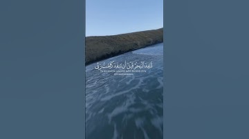 القرآن الكريم #راحة_نفسية #shots #السعودية #المغرب #العراق #الجزائر