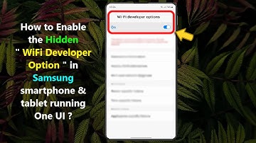 How to Enable the Hidden " WiFi Developer Options " in Samsung smartphone & tablet running One UI ?