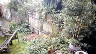 WP 20131014 001