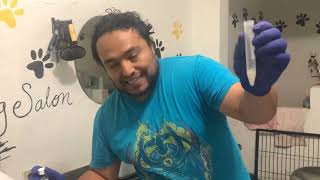 Preparación De Canino Y Envío