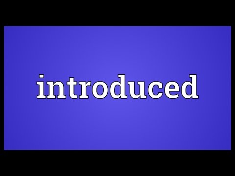 Introduced Meaning