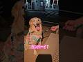 6歳になりました【goldenretriver】#shorts #dog #goldenretriever #犬 #ゴールデンレトリバー