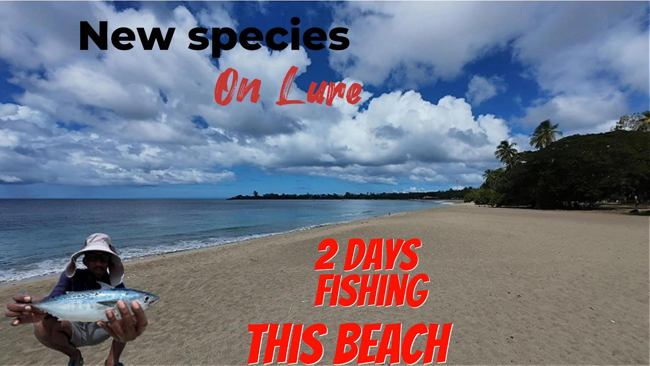 New species + Snook on first cast