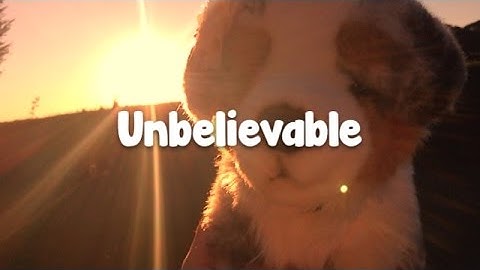 | Unbelievable MEP part 8 | Wolftina