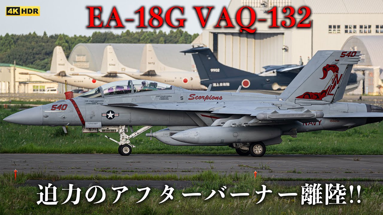 VAQ-132 スコーピオンズ パッチ 激レア　EA-18G 米軍　三沢基地 VAQ-132 Scopions - EA-18G Growler - Maquette Print – Third Offset