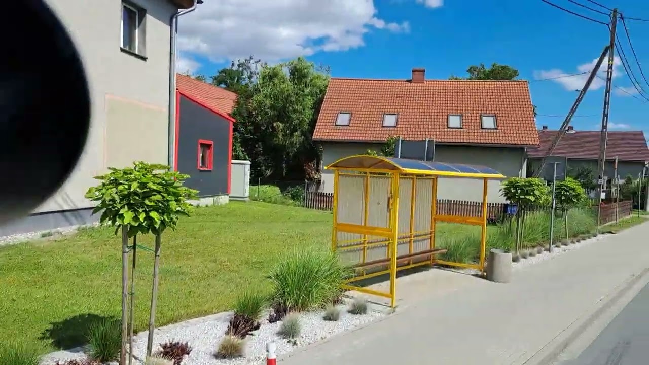 Zalesie sl 15.07.2022