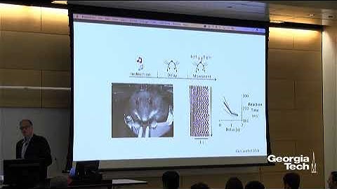 The Neural Circuits Underlying Short-term Memory