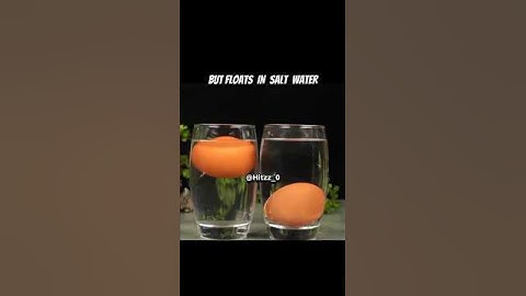 😱The Magic of Density: Egg Floating Science Demo! #shorts