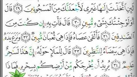 مصحف التجويد صفحة 368  ابراهيم الأخضر